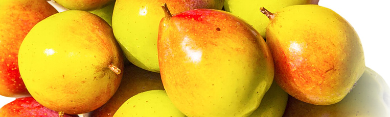 Sorbopyrus, kríženec hrušky a jarabiny