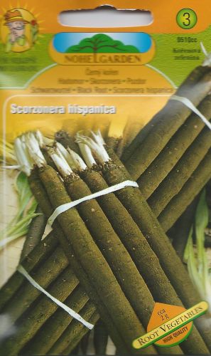 Hadomor španielsky (čierny koreň)