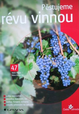 Pestujeme vinič