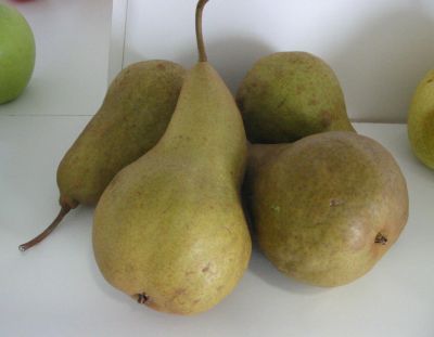 Boscova fľaška