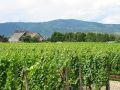 Francuzsko-Alsasko-08.jpg