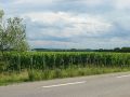 Francuzsko-Alsasko-10.jpg