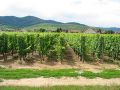 Francuzsko-Alsasko-11.jpg
