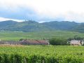 Francuzsko-Alsasko-14.jpg