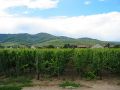 Francuzsko-Alsasko-19.jpg