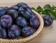 ČAČANSKÁ LEPOTICA, myr.