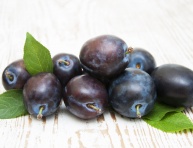 KALIFORNSKÁ MODRÁ, kont.