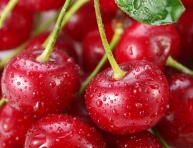 FRAMBERRY "RED DREAM", kont.