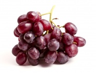 EINSET SEEDLESS, kont.