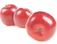 Integrovaná produkcia jabĺk určených pre výrobu detskej výživy