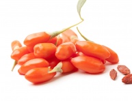 GOJI "ANNY"