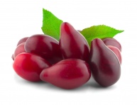 JOLICO