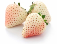 PINEBERRY "SNOW WHITE", kont.