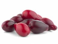 POINTILLA® AMOROSO® (Elaeagnus umbellata)