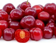 RUŽA VRÁSKAVÁ (Rosa  rugosa)