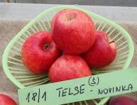 NABELLA®, M26, kont.