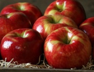 HONEYCRISP, M9