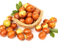 JUJUBA ČÍNSKA "DONG ZAO" (Ziziphus jujuba), P11