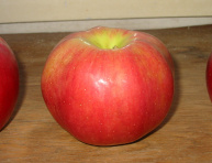 JABLKOVÁ