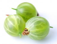 MAYHAW (Crataegus aestivalis), kont.