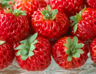 FRAMBERRY "RED DREAM", kont.