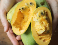 PAW PAW, kont.