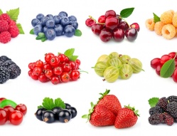 Význam pestovania menej rozšírených druhov ovocia