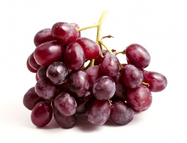 EINSET SEEDLESS, kont.