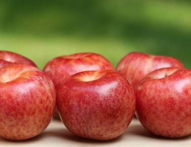 DAPPLE DANDY®