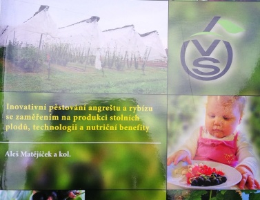 INOVATÍVNE PESTOVANIE EGREŠOV A RÍBEZLI SO ZAMERANÍM NA PRODUKCIU PLODOV
