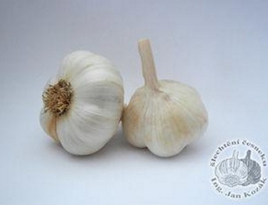 ZÁHORSKÝ II 500g