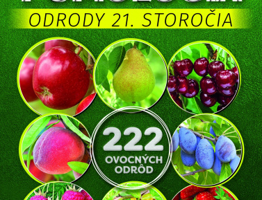 POMOLÓGIA - ODRODY 21. STOROČIA