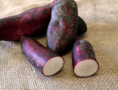 JAKON "MORADO", kont.