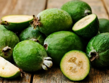 FEJCHOA (Feijoa seloviana), kont.