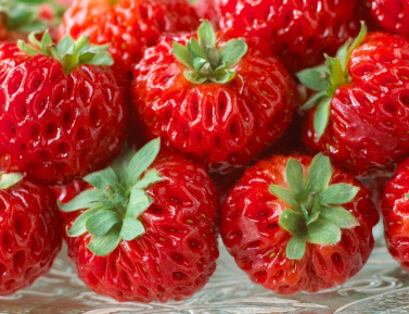 FRAMBERRY "RED DREAM", kont.